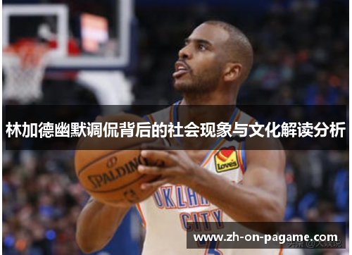 林加德幽默调侃背后的社会现象与文化解读分析