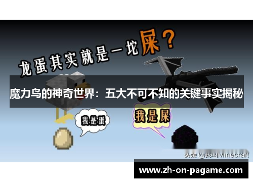 魔力鸟的神奇世界:五大不可不知的关键事实揭秘 魔力鸟的神奇世界:五大不可不知的关键事实揭秘
