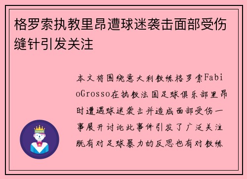 格罗索执教里昂遭球迷袭击面部受伤缝针引发关注